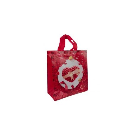BOLSA PARA REGALO
